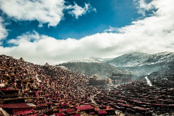 DSC_9474-1