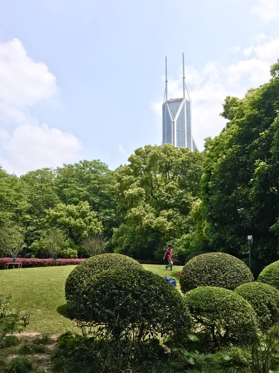 拍摄于上海人民公园