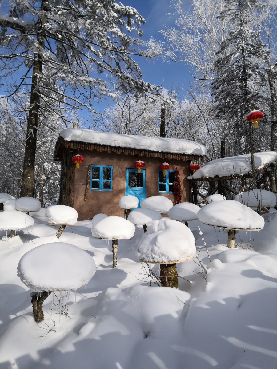 黑龙江雪乡冰雪画廊,零下二十多度.