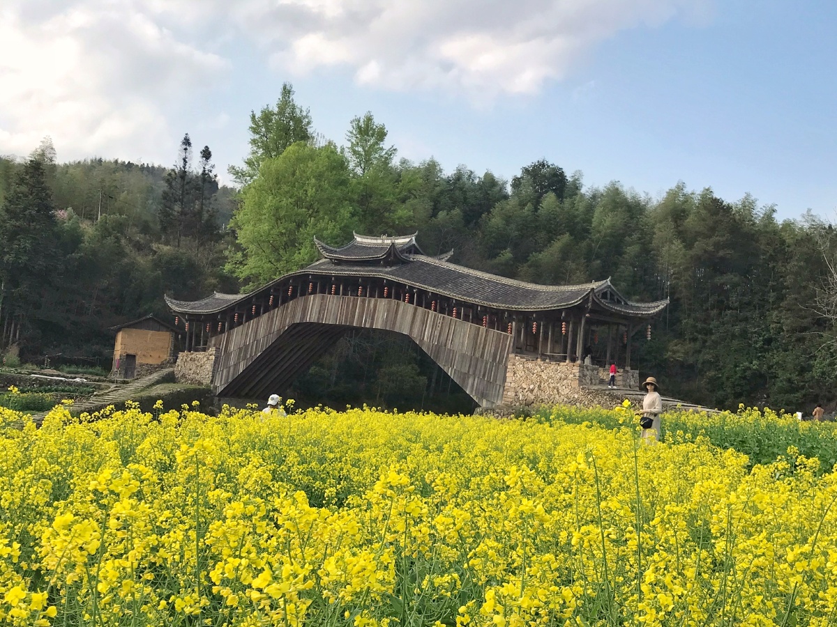 泰顺古廊桥文兴桥