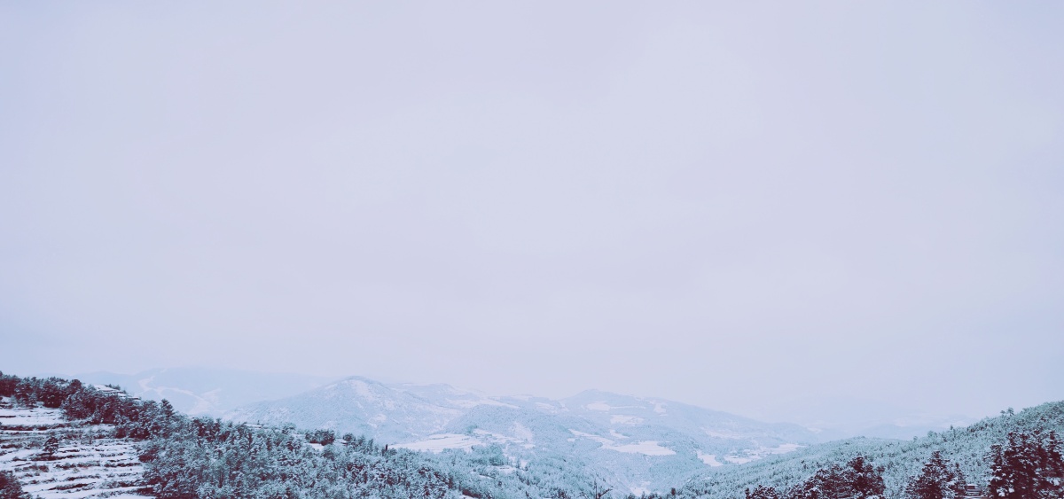平视前方,一片雪白!