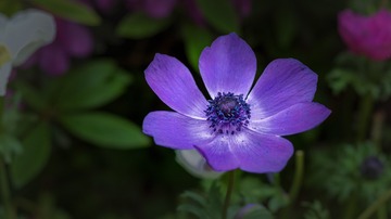B0000969