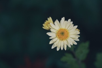 70840