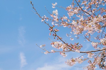 A401F48C-1C61-4954-B00F-60359DEB4E12/L0/001