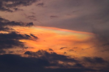 176CF4BA-C84C-4659-B9ED-5B556753E485/L0/001