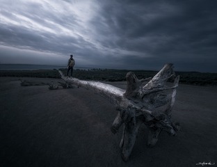 001