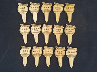 53539