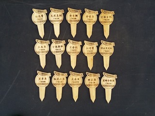 53540