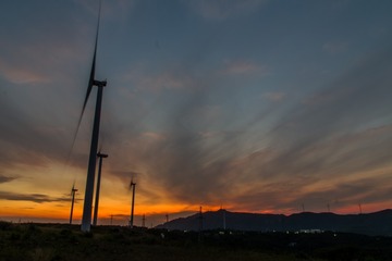 793231