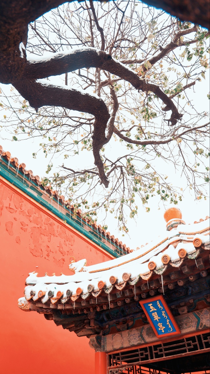 故宫下雪了