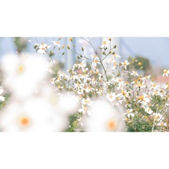 F661B8B7-19A6-457B-9401-8FFFB27D2BA0/L0/001
