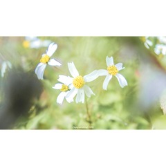 7C240F67-9B63-4D6E-9426-E0FA9BAE98F2/L0/001