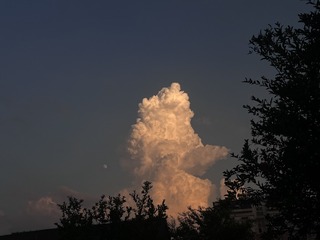 25651A0E-6276-4B52-9436-A6C6F659490D/L0/001