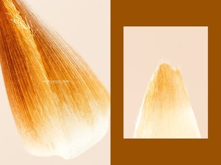 4D1E700C-1A32-48C4-88B2-A81504EDBB43/L0/001