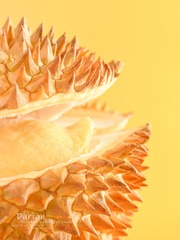 F0D3C40A-DDBE-469B-828B-89ACF194C449/L0/001