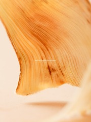 13495421-2B6E-4533-B581-160752577A75/L0/001