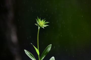 86308