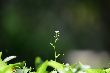 86313