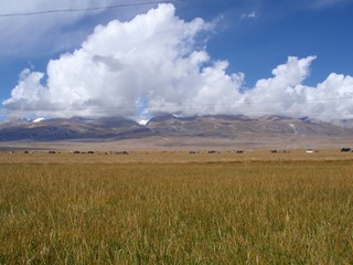 1006471
