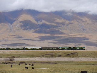 1006475