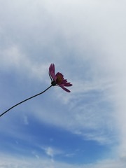 1421764