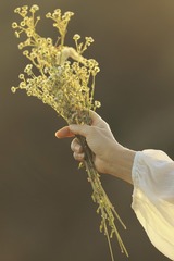 F97462E3-F4D3-47CB-B22A-4AED8953AB93/L0/001