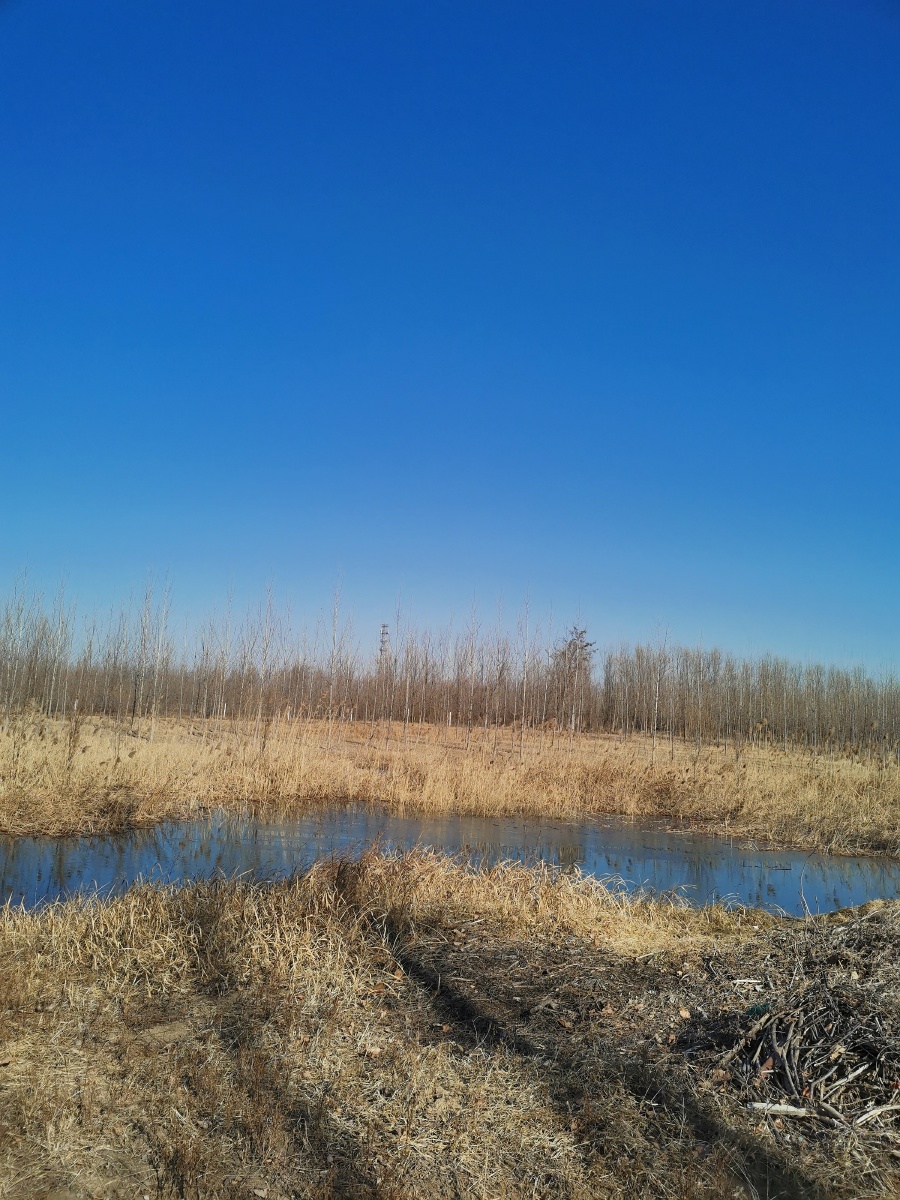 冬天里河边钓鱼拍拍12月中的大自然风光