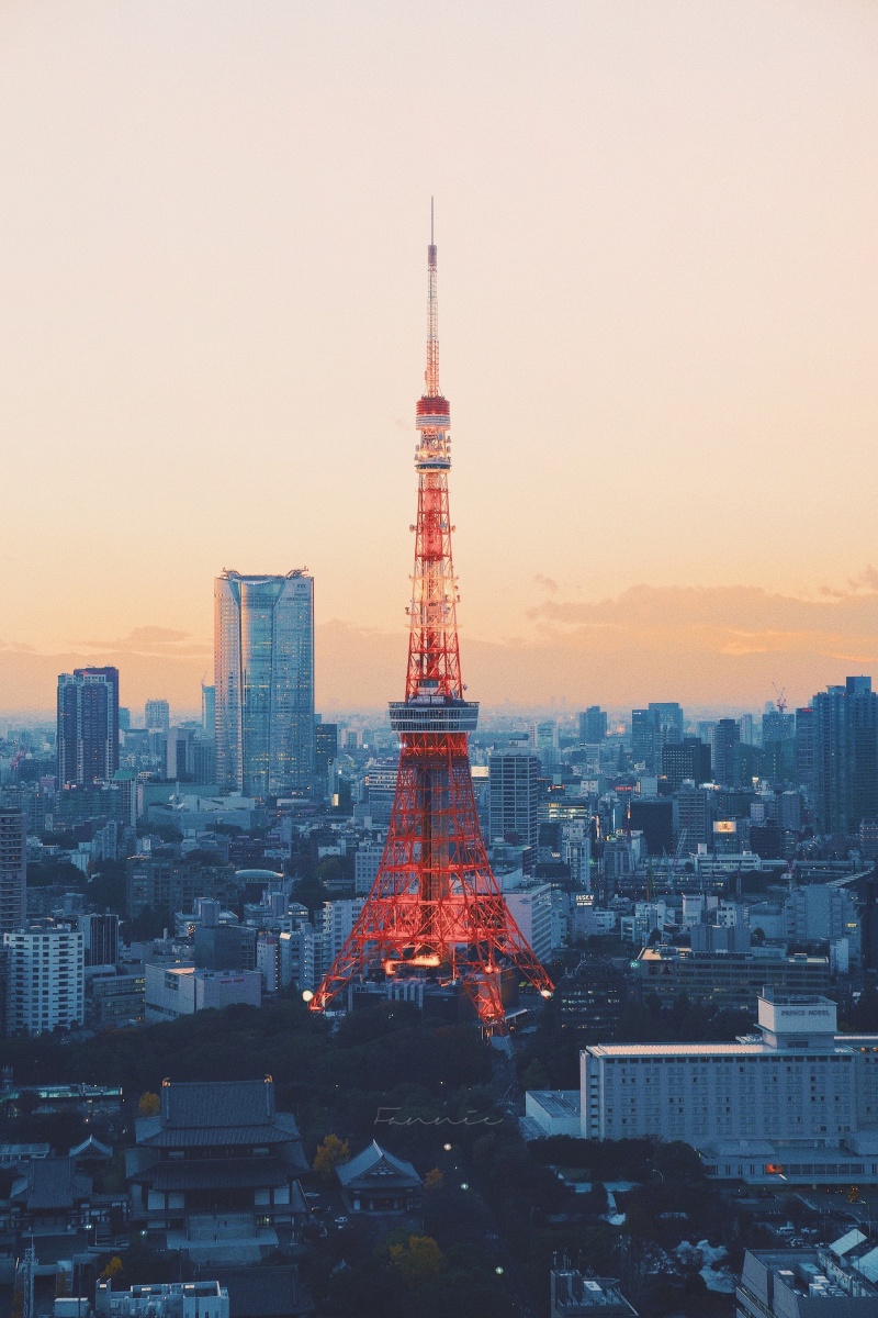 城市夜景东京