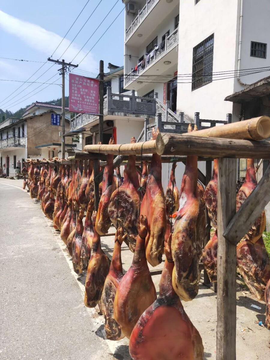 广东哪里有海南五脚猪养殖,海南出现野猪群种五脚猪和香猪