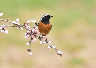 1005075