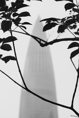 32539F28-BD43-480B-A794-F883021D5183/L0/001