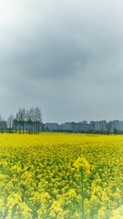 3314584