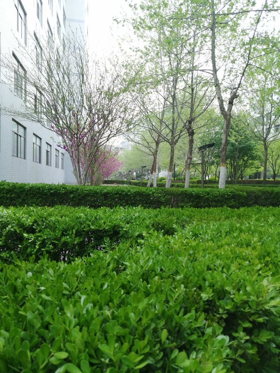 蜡笔小新没有结局