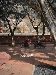 375BD43E-5647-4B8B-A081-B9449B957129/L0/001
