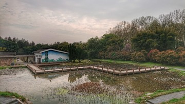 DSC_1275-01