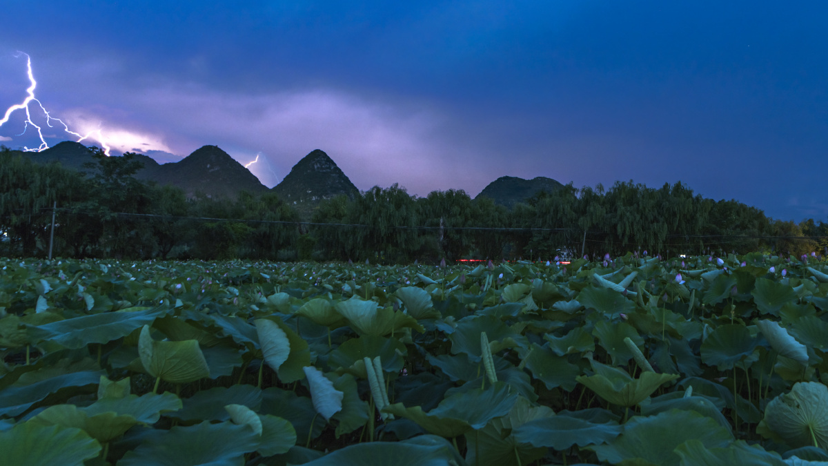 照片拍摄于贵州安龙招提荷花池.