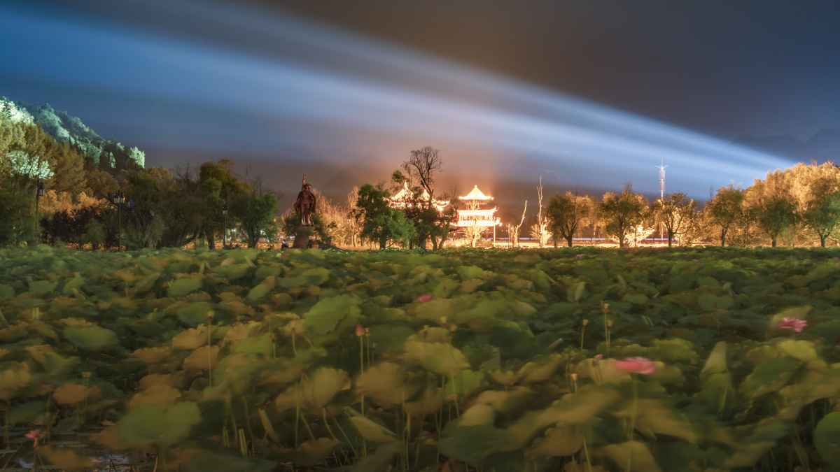 照片拍摄于贵州安龙招提荷花池.
