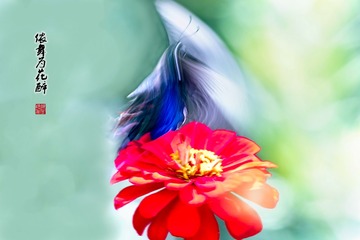 001