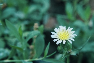 2E1AEFB6-867C-4D11-AD3E-64156C7717FA/L0/001