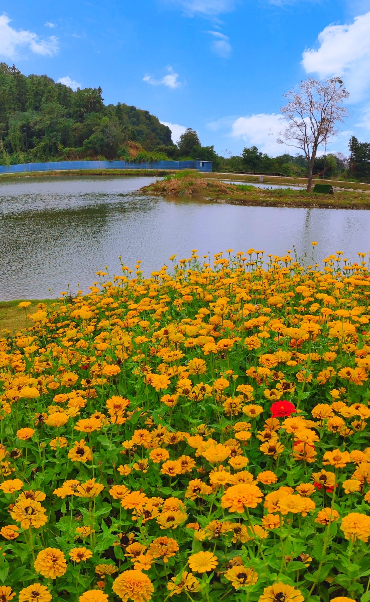 南昌先锋小镇美景