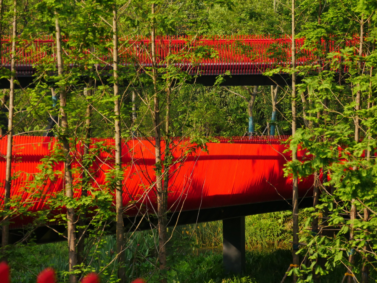 嘉兴放鹤洲公园里的网红桥观景廊桥