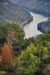 5517D98D-40DE-46E4-A7B1-858C88257E6B/L0/001