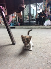 130613