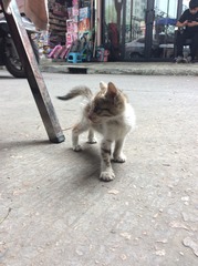 130618