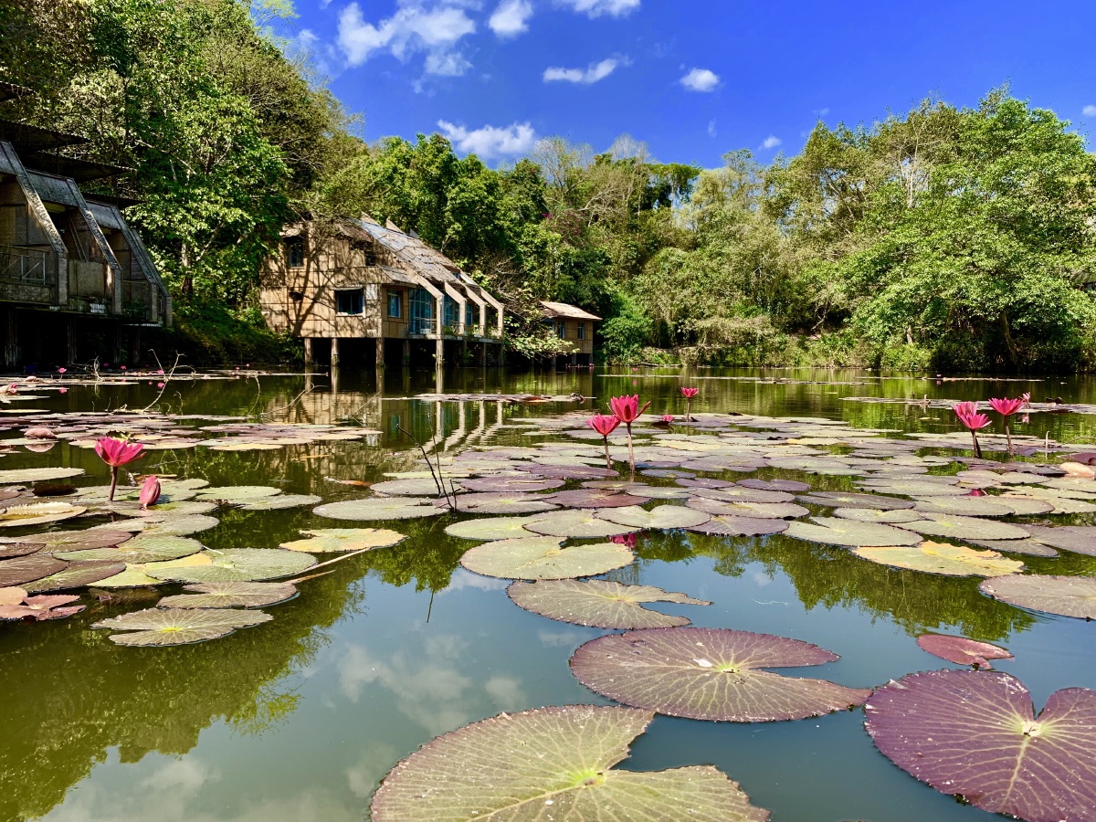 众乐乐不如独乐乐