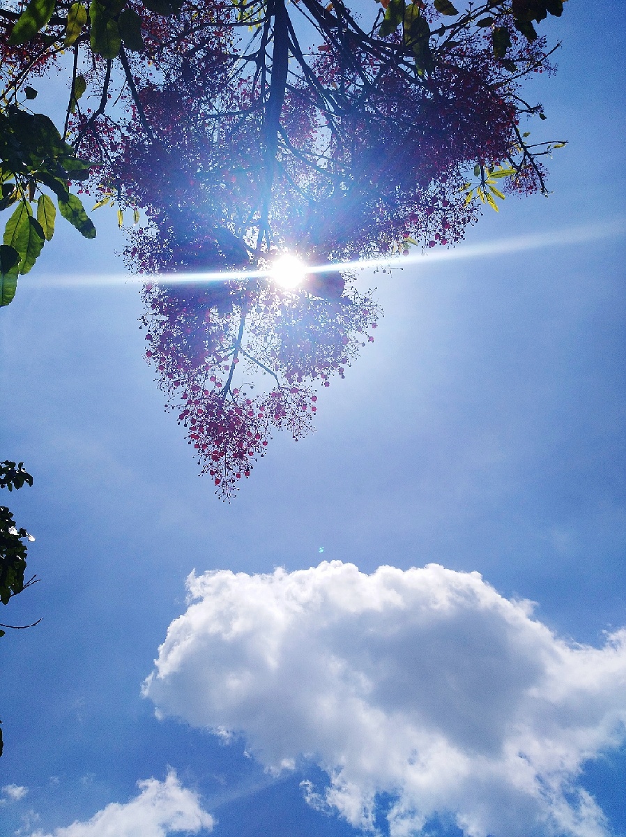 天空很蓝骄阳似火