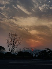 1206062