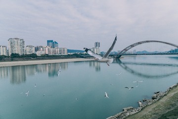 5075228