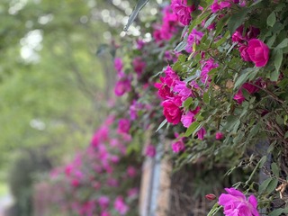 6866482A-3B37-48A6-8DDF-EB94A76971A9/L0/001