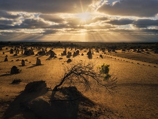 B0000835